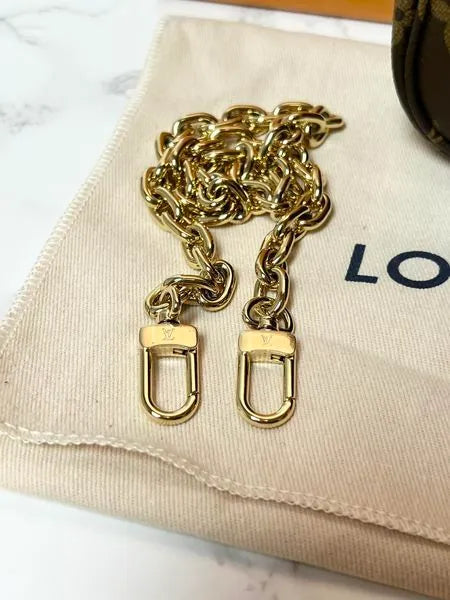 Louis Vuitton Ivy bag