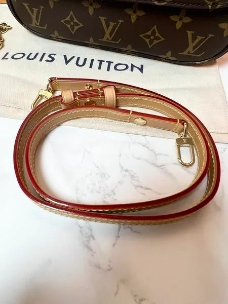 Louis Vuitton Ivy bag
