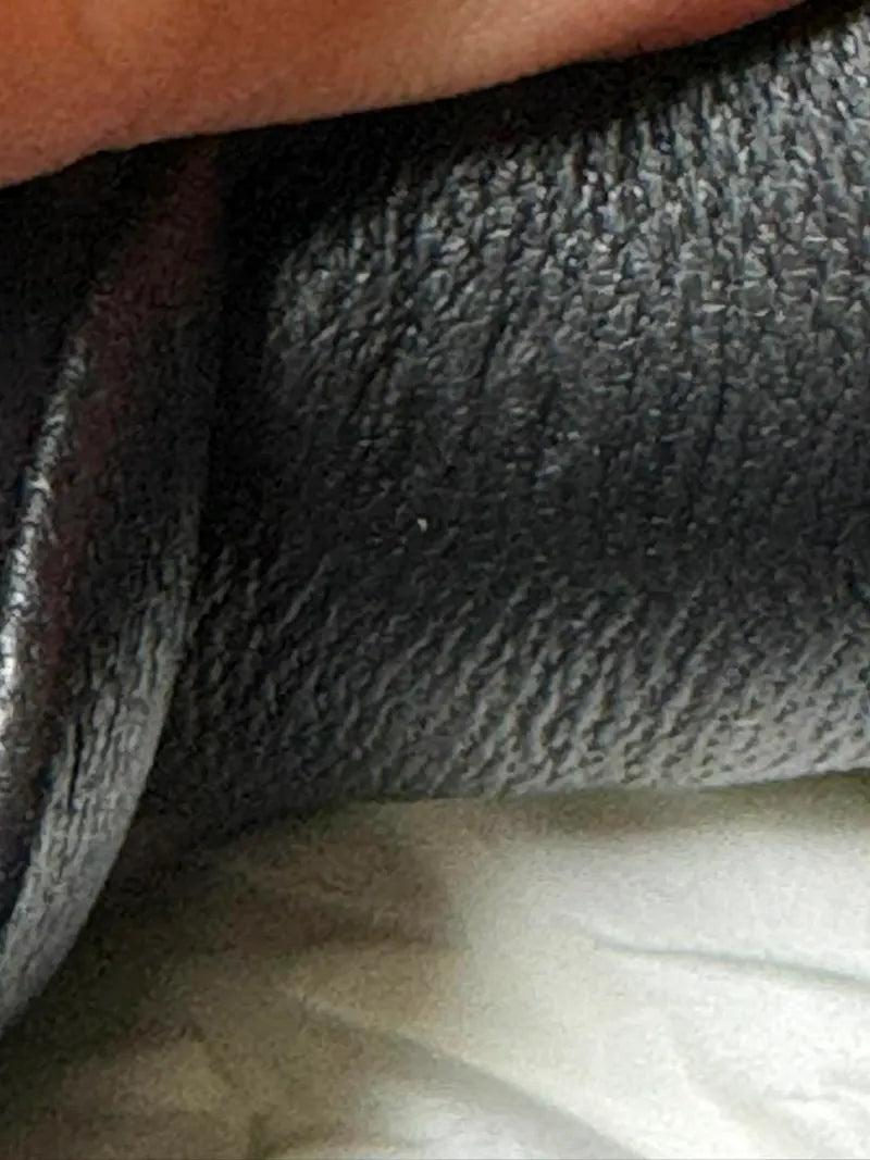 愛馬仕女士運動鞋 Bouncing Panda 36碼